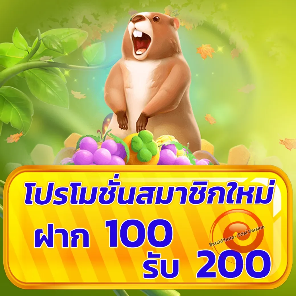 monster xbet